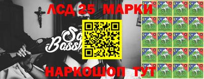 индика Гусев