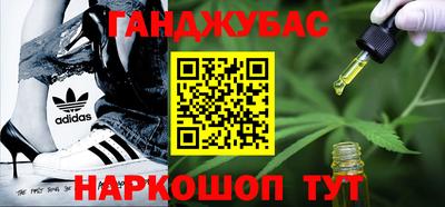индика Гусев