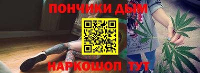 индика Гусев