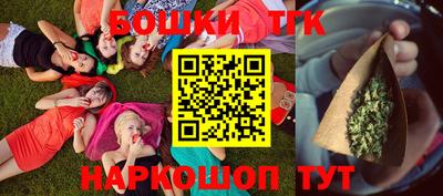 индика Гусев