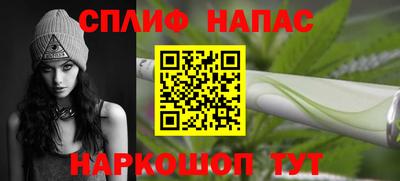 индика Гусев