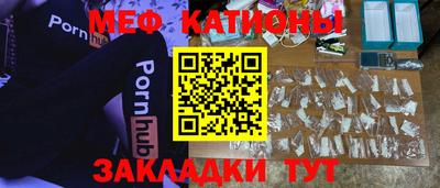 индика Гусев