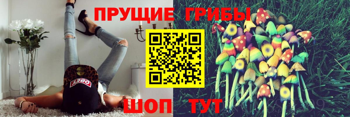 Псилоцибиновые грибы Psilocybe  сколько стоит  Ипатово  Псилоцибиновые грибы прущие грибы  Вход с VPN 